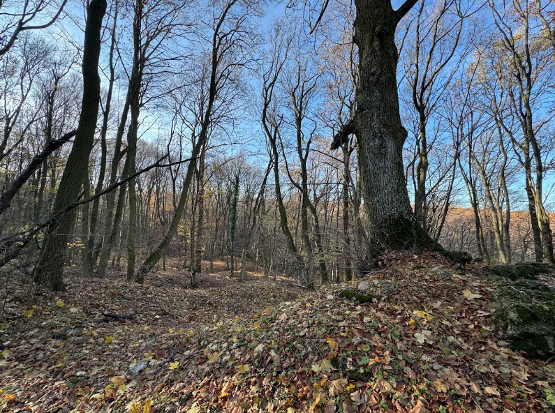 Csikling Várrom, Hungary